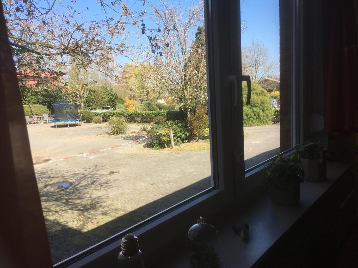 Ferienwohnung Tauchen Im Kreidesee, Keine Monteuerunterkunft Hemmoor Luaran gambar